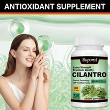 Cilantro herbal supplement capsules for antioxidant wellness, everyday health support, and plant-based supplementation.