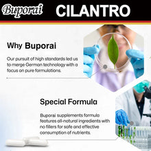 Cilantro leaf supplement capsules for antioxidant benefits, herbal wellness, and daily nutritional support.