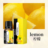 Car & Home Essential Oil Air Freshener compact 10ml oil bottle for portable fragrance use in vehicles, bedrooms, and offices.