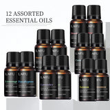 Custom Aromatherapy Oils liquid deodorizer blend for neutralizing unwanted smells, improving indoor freshness, and diffuser application.