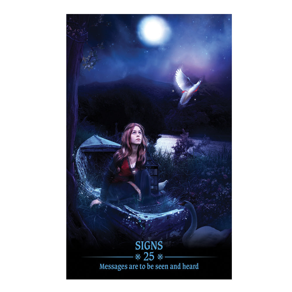 Dark Light Oracle Deck 76-page guidebook