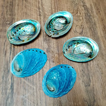 Decorative Natural Blue Abalone Shells shell set for mantel decor, display bowls, and seaside-inspired decorating.