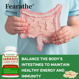 Person holding a model of intestines with Fearathe parasite cleanse and detox product displayed.