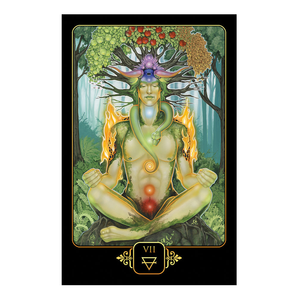Dreams of Gaia Tarot card example, Major Arcana