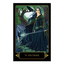 Dreams of Gaia Tarot 308-page guidebook