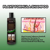 Eelhoe Natural Herbal Anti-Dandruff Shampoo plant formula with hair follicle diagram on green background.