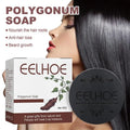 Eelhoe Herbal Hair Growth and Darkening Shampoo Bar 100g with packaging on white background.