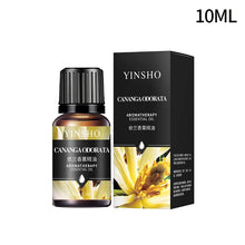 Car & Home Essential Oil Air Freshener oil bottle for refreshing car interiors, home rooms, and personal spaces with pleasant fragrance.