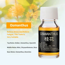 Fragrance Essential Oils Set 10ml bottles for home fragrance diffusers, air freshening, and aromatic relaxation.