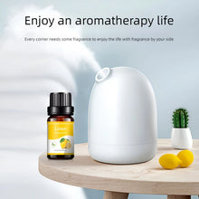 Fragrance Essential Oils Set 10ml oil bottles for diffusing pleasant scent, freshening rooms, and aromatherapy use.