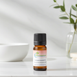 Eucalyptus essential oil bottle for aromatherapy, diffuser use, and refreshing home fragrance.