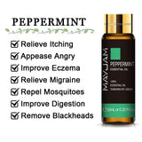 10ML Pure Essential Oil eucalyptus glass bottle for refreshing aromatherapy, diffuser sessions, and home wellness use.