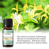 EUQEE 10ml fruity scent fragrance oil blend bottle for refreshing indoor spaces and aromatic diffuser use.