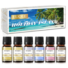 EUQEE diffuser fragrance oil set bottles for home scent diffusion, aromatherapy, and creating inviting cozy spaces.