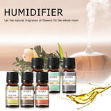 EUQEE essential fragrance oil set bottles for diffuser blends, home fragrance, and cozy indoor scent use.