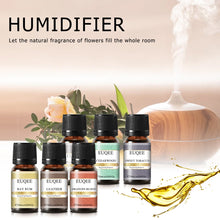 EUQEE 6-Piece Fragrance Oil Collection for candle making and aromatherapy gifting.