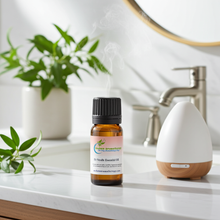Fir Needle Essential Oil bottle for fresh forest aromatherapy, winter diffuser blends, and invigorating home scenting.