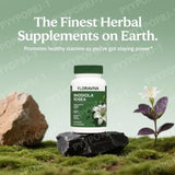 Floraviva Rhodiola Rosea herbal capsules bottle for daily stress support and routine adaptogen wellness use.