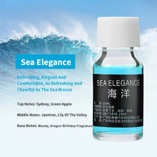 Fragrance Essential Oils Set 10ml bottles for diffusing fragrance, freshening indoor spaces, and daily aromatherapy routines.