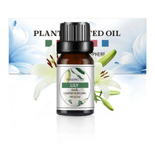 Fruit Flavor Essential Oil aromatic bottle for fragrance blending, room scenting, and diffuser use.