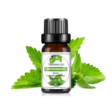 Fruit Flavor Essential Oil blend bottle for fruity scent layering, candle making, and aromatic craft applications.