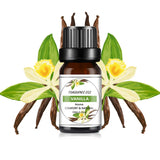 Fruit Flavor Essential Oil home fragrance bottle for scenting living spaces, diffuser use, and fresh aromatic blends.