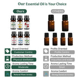 Fruit Flavor Essential Oil aroma oil bottle for diffusing fruity fragrance, relaxation, and everyday aromatherapy use.