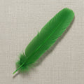 Green Feather, 12 inch turkey feather