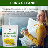 Greenpeople mullein leaf herbal tea blend for steeping soothing herbal tea and everyday wellness routines.
