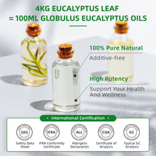 HIQILI Eucalyptus essential oil yield and certification panel listing SDS, IFRA, allergen declaration, COA and GC analysis
