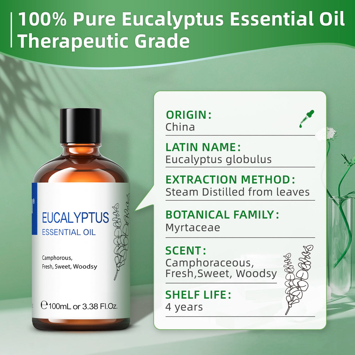 HIQILI Eucalyptus essential oil specification panel — Eucalyptus globulus, China, steam distilled from leaves, 4-year shelf life