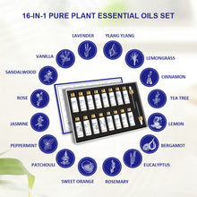 The sixteen oils in the HIQILI set named around the open gift box: lavender, ylang ylang, lemongrass, cinnamon, tea tree, lemon, bergamot, eucalyptus, rosemary, sweet orange, patchouli, peppermint, jasmine, rose, sandalwood and vanilla.