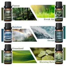 HIQILI Nature-Themed Fragrance Oils Set of 6 fresh botanical scents for oil burners and wax melts.