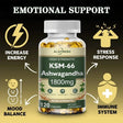 KSM-66 Ashwagandha capsules 1800mg supplement capsules for daily wellness support and herbal supplement use.