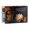 Meditation Reminder Gift Pack - 12 themed incense packs