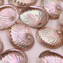 Mother of Pearl Abalone jewelry box for protecting delicate jewelry pieces and keepsake items.