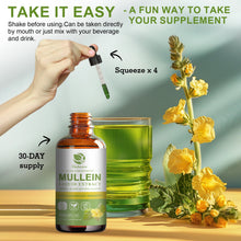 Mulittea Mullein Leaf Drops herbal liquid drops for respiratory comfort and everyday wellness use.