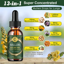 Mullein Leaf Extract Drops tincture bottle for respiratory comfort, lung comfort, and herbal wellness routines.