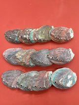 Natural Green Abalone Shell bowl for incense, sage bundles, and energy cleansing practices.