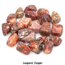 Natural Amazonite Tumbled Stones for meditation, crafts, and crystal healing.