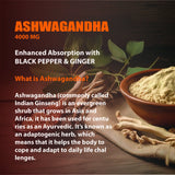 Nature4U Ashwagandha adaptogen capsules bottle for relaxation support, stress response balance, and everyday herbal use.