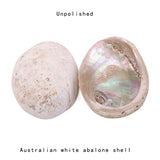 New Zealand Abalone Shell smudge bowl for sage use, spiritual cleansing, and ceremonial burning.