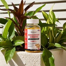 Organic Maca Root Ginseng Capsules bottle for herbal endurance support, vitality maintenance, and routine supplement use.