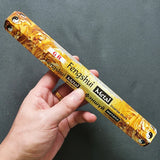 Hand holding a package of Fengshui Metal incense sticks against a dark background