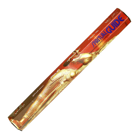 Padmini Spiritual Guide Incense Sticks pack with mild balsamic fragrance