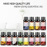 PHATOIL Passion Fruit Fragrance Oil bottle for diffusing, DIY skincare, and fresh tropical scent blending.
