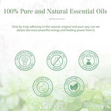 PHATOIL 100ml Spearmint aromatherapy oil bottle for essential oil diffusers, self-care rituals, and fragrant relaxation.