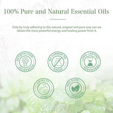 PHATOIL 100ml Spearmint aromatherapy oil bottle for essential oil diffusers, self-care rituals, and fragrant relaxation.