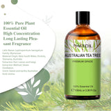 PHATOIL Spearmint essential oil bottle for self-care routines, diffuser blends, and refreshing scent use.