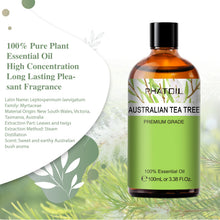 PHATOIL Spearmint essential oil bottle for self-care routines, diffuser blends, and refreshing scent use.